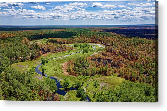 New Jersey Acrylic Print featuring the photograph Pinelands Burned Forest by Louis Dallara