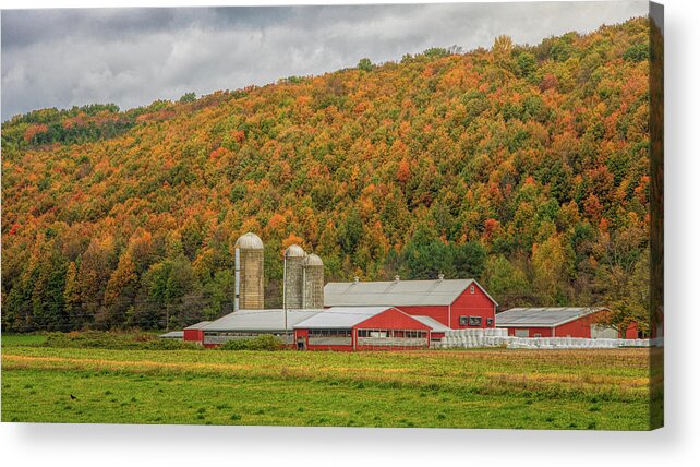 Barn Acrylic Print featuring the photograph Red Barns in Autumn by Rod Best