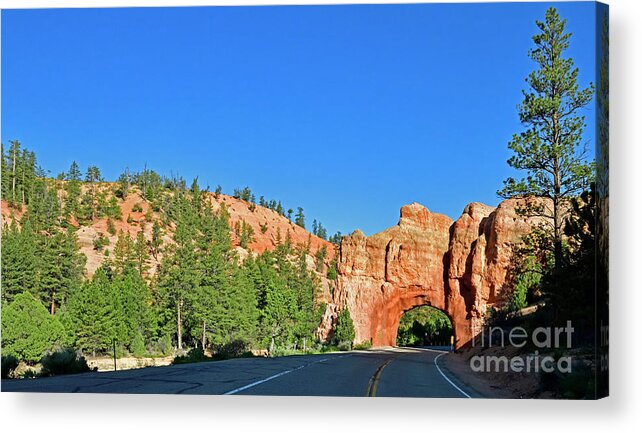 Red Canyon Arch Acrylic Print featuring the photograph Red Canyon Arch by Amazing Action Photo Video