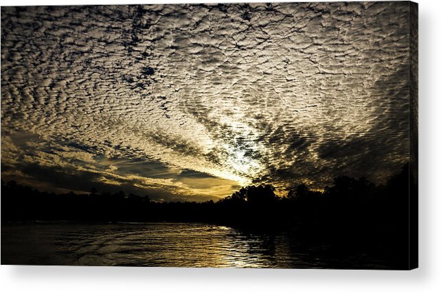 Lake Acrylic Print featuring the photograph Return To My Cove by Ed Williams