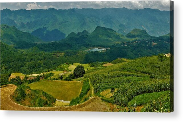 Rice Acrylic Print featuring the photograph Rice fields, Vietnam by Robert Bociaga