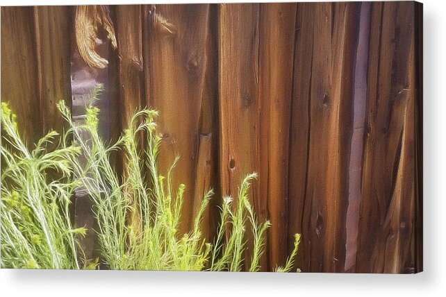 Wood Acrylic Print featuring the photograph Rustic Old Barn Wood in Bodie by Rebecca Herranen