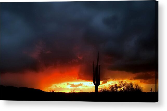 Tequila Acrylic Print featuring the photograph Tequila Sunset by Gene Taylor