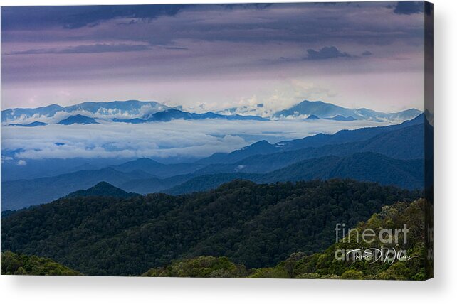 Landscape Acrylic Print featuring the photograph Smoky Mountain Morning by Theresa D Williams