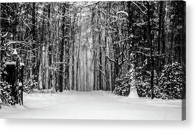 Catskills Acrylic Print featuring the photograph Snow Storm by Louis Dallara