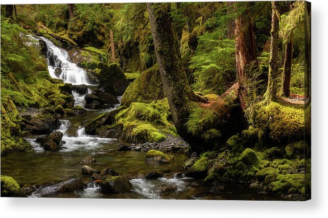 Sol Duc Acrylic Print featuring the photograph Sol Duc Falls Lovers Lane Trail Creek by Donnie Whitaker
