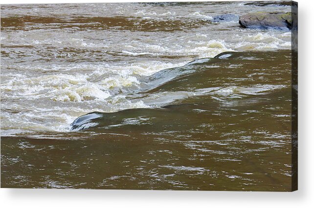 Flint River Acrylic Print featuring the photograph Some Flint River Flows by Ed Williams