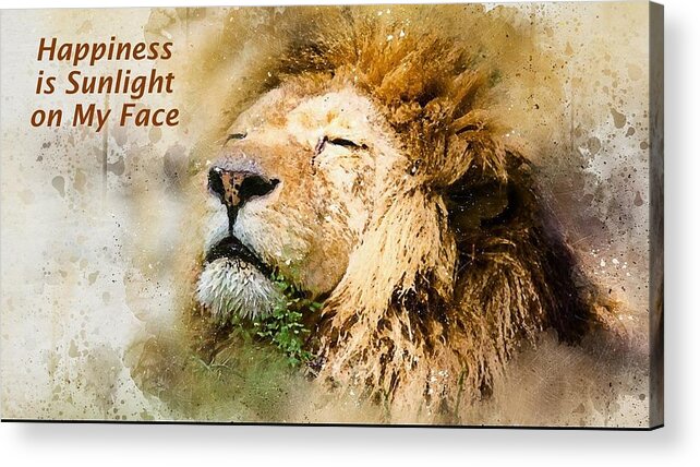 Lion Acrylic Print featuring the mixed media Sunlight on My Face by Nancy Ayanna Wyatt