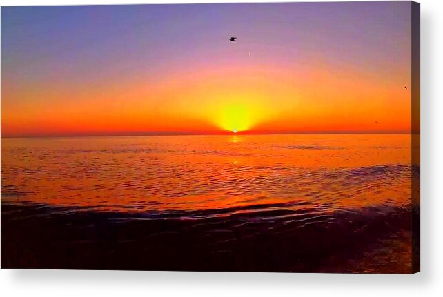 Sunrise Acrylic Print featuring the photograph Sunrise Beach 492 by Rip Read