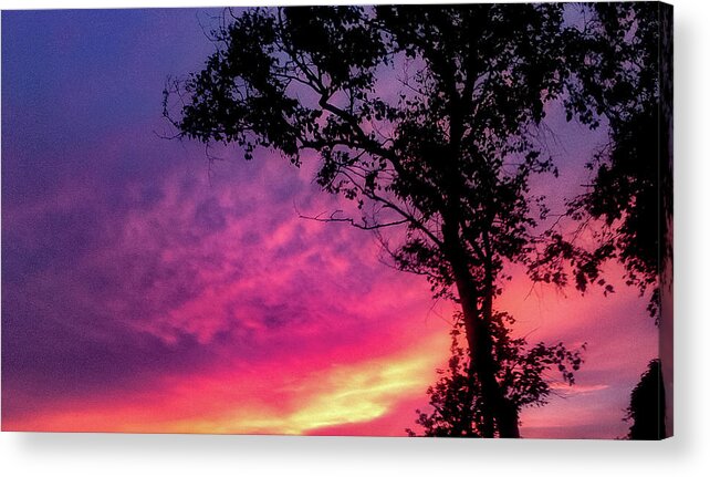 Landscape  Sunset   Acrylic Print featuring the photograph Sunset behind a tree by Kelsea Peet