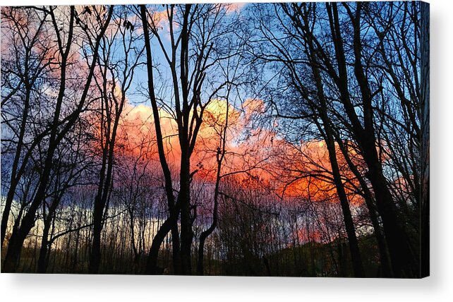 Nature Acrylic Print featuring the photograph Sunset Through the Woods by Ally White