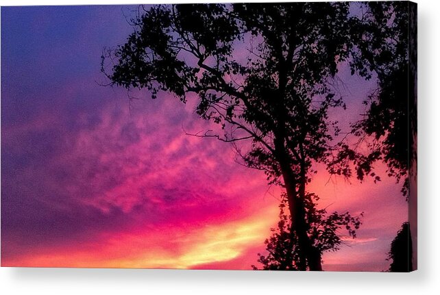 Sunset  Acrylic Print featuring the photograph Sunset with a tree by Kelsea Peet
