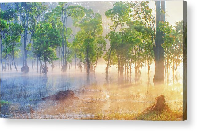 Awesome Acrylic Print featuring the photograph Sunshine by Khanh Bui Phu