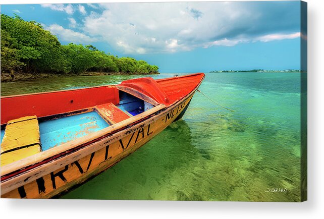 Jamaica Acrylic Print featuring the photograph Survival by Jim Carlen