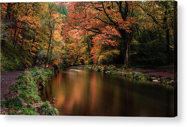Teign Acrylic Print featuring the photograph Teign River, Devon. by Maggie Mccall