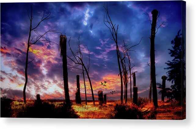 Sky Acrylic Print featuring the photograph The Remains of the Day by Micah Offman