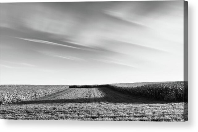 Cornfield Acrylic Print featuring the photograph The Shadow by Wim Lanclus