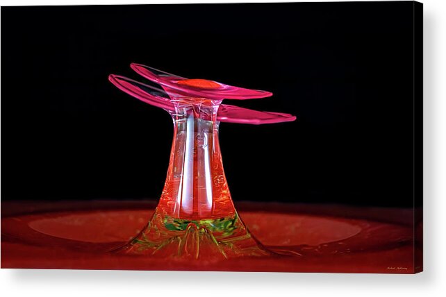 Pagoda Acrylic Print featuring the photograph The Water Drop Pagoda by Michael McKenney