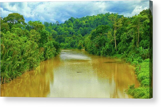 Tropical River Landscape Acrylic Print featuring the photograph Tropical River Landscape by Robert Bociaga