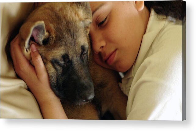 German Shepherd Acrylic Print featuring the photograph True Love by Raymond Hill