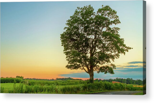 Farm Acrylic Print featuring the photograph Wagner Farm Sunset by Rod Best