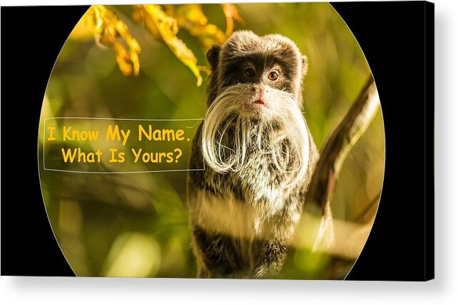 Monkey Acrylic Print featuring the mixed media What Is Your Name by Nancy Ayanna Wyatt