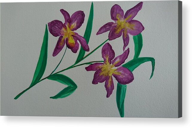 Orchids Acrylic Print featuring the painting Wild orchids by Faa shie