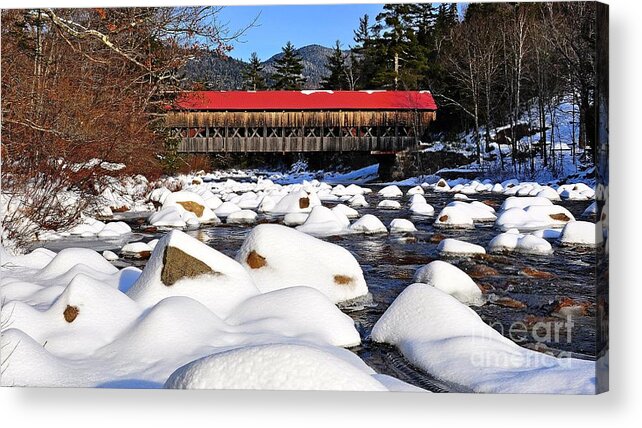 Winter Acrylic Print featuring the photograph Winter Wonderland by Steve Brown