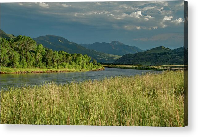 Montana Acrylic Print featuring the photograph Yellowstone River Perfection by Marcy Wielfaert