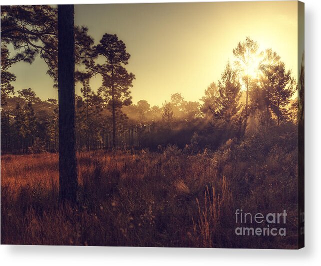 Sunrise Acrylic Print featuring the photograph Break Through by Tim Wemple