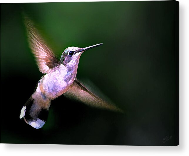 Nature Acrylic Print featuring the photograph Hummer Ballet 1 by ABeautifulSky Photography by Bill Caldwell
