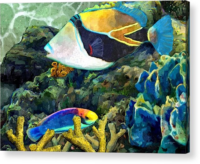 Hawaiian Fish Acrylic Print featuring the painting Humuhumu And a Wrasse by Stephen Jorgensen