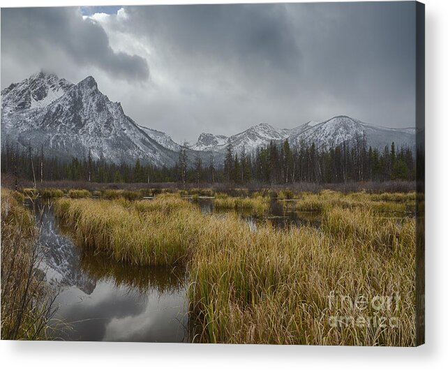 Idaho Acrylic Print featuring the photograph McGown Autumn by Idaho Scenic Images Linda Lantzy