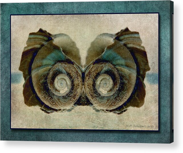 Seashell Acrylic Print featuring the photograph Shellshock 6 by WB Johnston