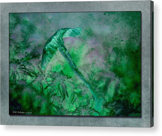 Swamp Acrylic Print featuring the photograph Swamp Mist by WB Johnston