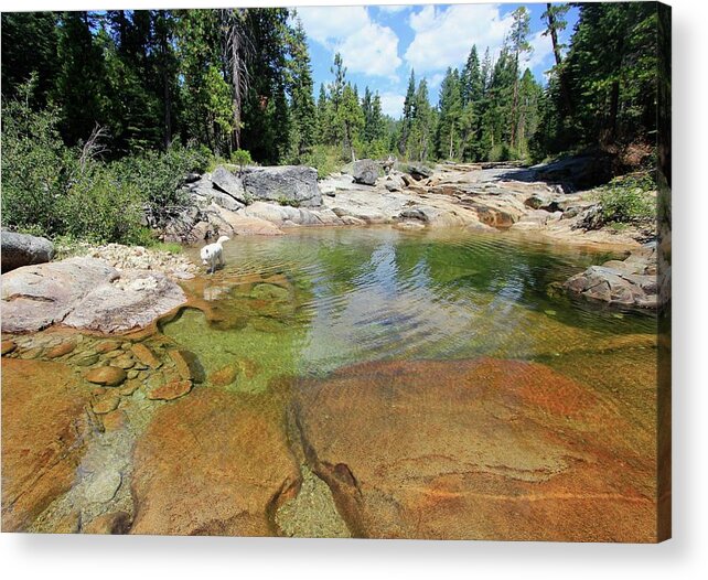 Sierra Acrylic Print featuring the photograph Follow Your Streams by Sean Sarsfield