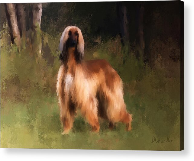 Afghan Hound Acrylic Print featuring the painting The Huntress by Diane Chandler