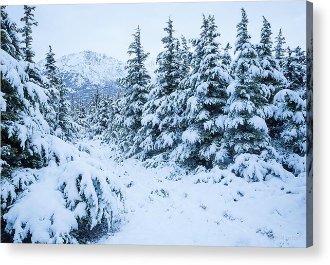 Winter Acrylic Print featuring the photograph Winter Arrives by Tim Newton