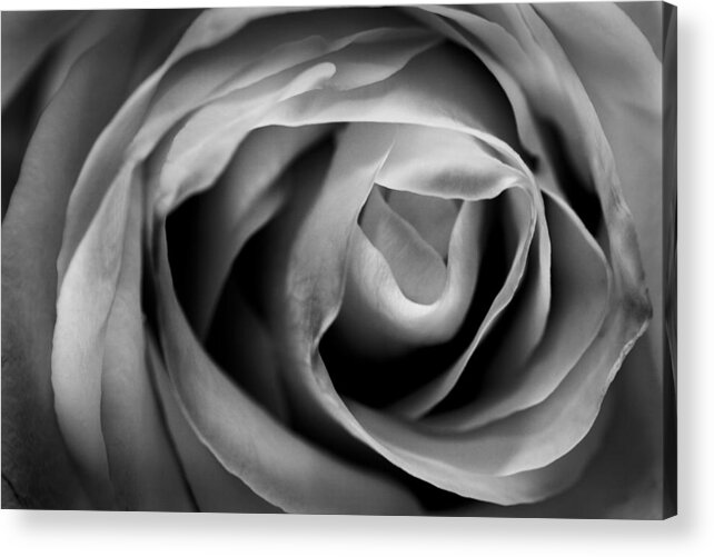 Acrylic Acrylic Print featuring the photograph Absence of Color by Jon Glaser