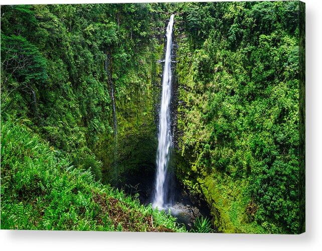 Akaka Acrylic Print featuring the photograph Big Island - Akaka falls by Francesco Emanuele Carucci