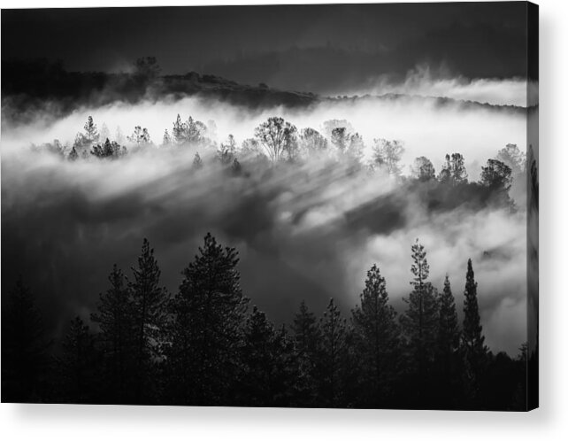 American River Canyon Acrylic Print featuring the photograph American River Canyon by Sherri Meyer
