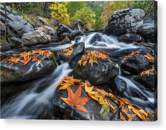 Arizona Acrylic Print featuring the photograph Autumn Flow by Guy Schmickle