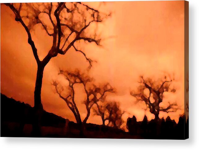 Landscape Acrylic Print featuring the photograph Bare Trees by Mark Alan Perry