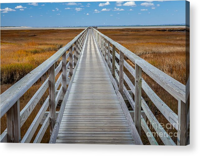 America Acrylic Print featuring the photograph Bass Hole Boardwalk by Susan Cole Kelly