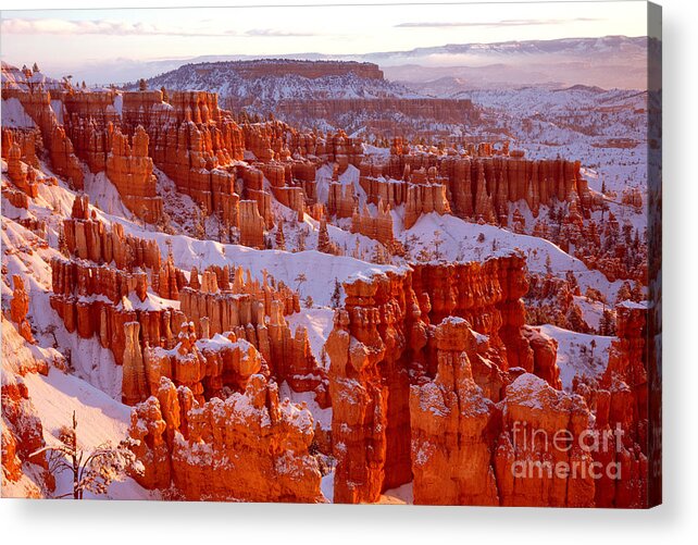 Landscape Acrylic Print featuring the photograph Bryce Canyon - 11 by Benedict Heekwan Yang