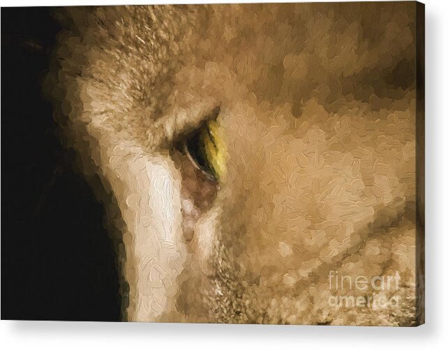 Cat's Eye Acrylic Print featuring the photograph Cats eye by Sheila Smart Fine Art Photography