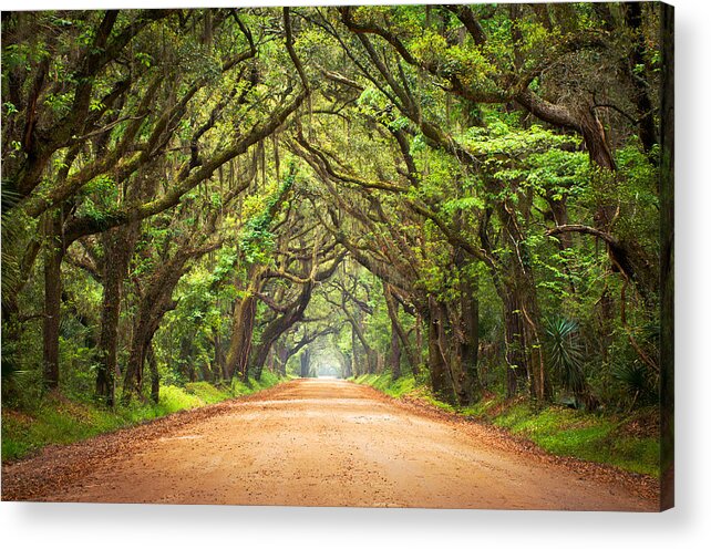 Swamp Acrylic Print featuring the photograph Charleston SC Edisto Island - Botany Bay Road by Dave Allen