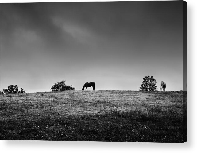 B&w Acrylic Print featuring the photograph Couldn't Drag Me Away by Robert Clifford