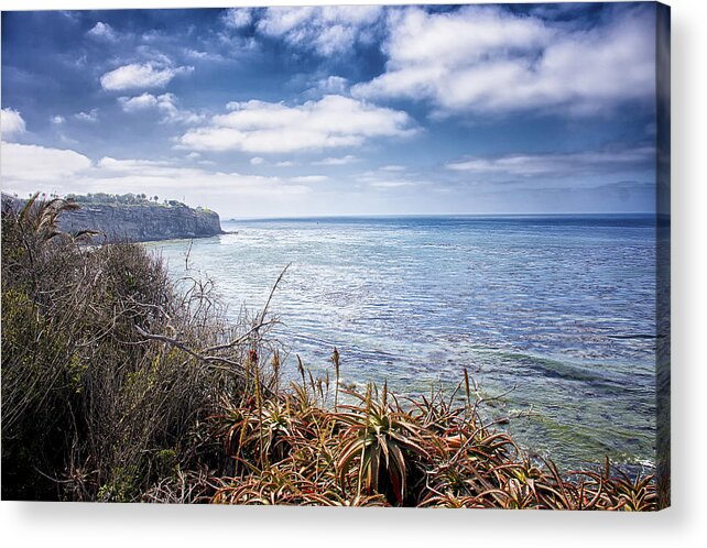 Ocean Acrylic Print featuring the photograph Curved Shoreline by Joseph Hollingsworth