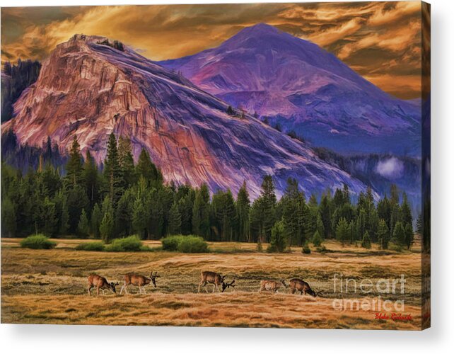  Acrylic Print featuring the photograph Dears Under Purple Mountins by Blake Richards